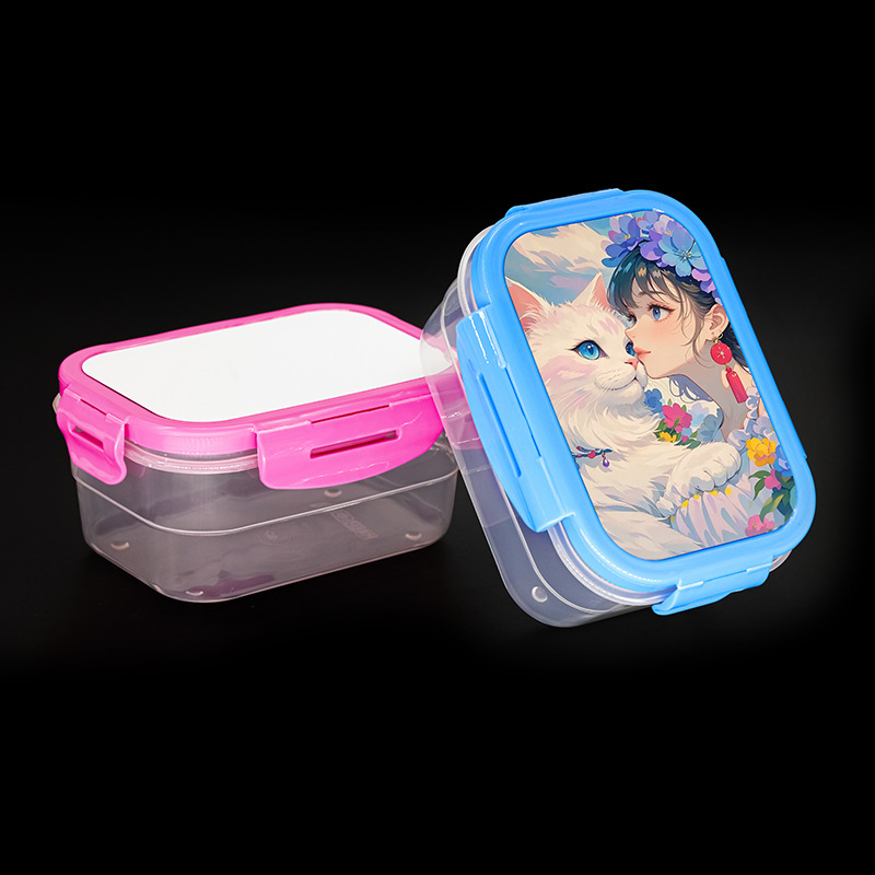 Plastic Lunch Box -800ML 